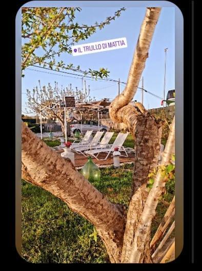 Villa Il Trullo Di Mattia Noci Exterior foto